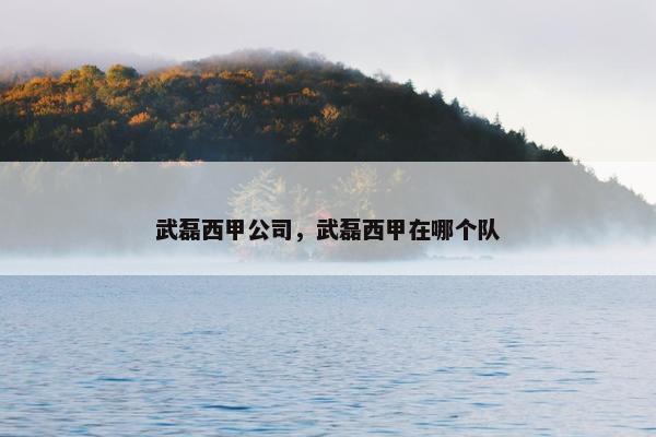 武磊西甲公司，武磊西甲在哪个队