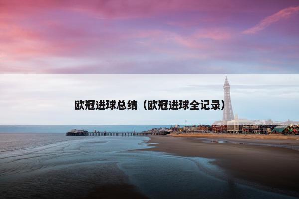 欧冠进球总结（欧冠进球全记录）