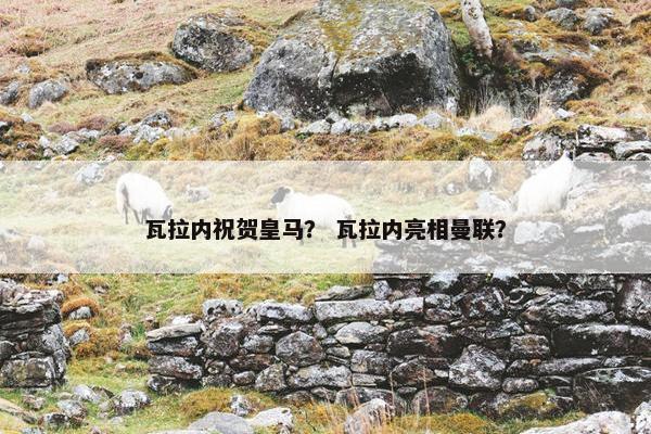 瓦拉内祝贺皇马？ 瓦拉内亮相曼联？