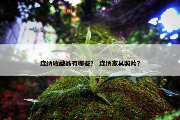森纳收藏品有哪些？ 森纳家具照片？
