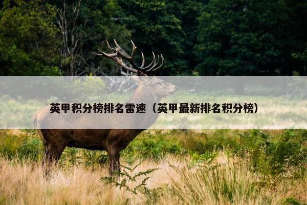 英甲积分榜排名雷速（英甲最新排名积分榜）