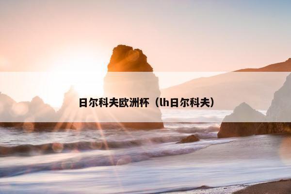 日尔科夫欧洲杯（lh日尔科夫）