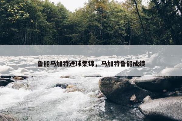 鲁能马加特进球集锦，马加特鲁能成绩