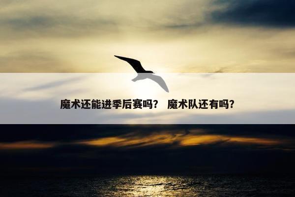 魔术还能进季后赛吗？ 魔术队还有吗？