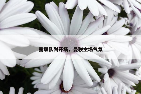 曼联队列开场，曼联主场气氛