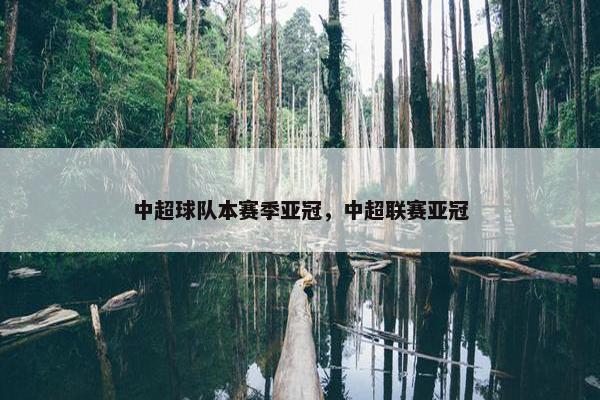 中超球队本赛季亚冠，中超联赛亚冠