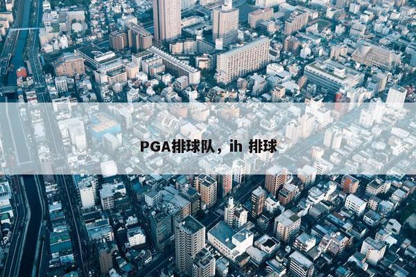 PGA排球队，ih 排球