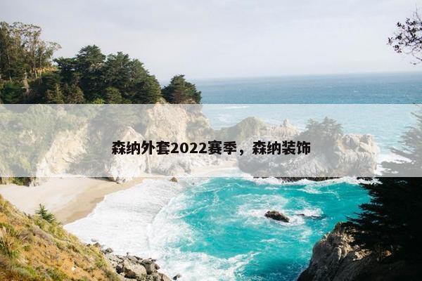森纳外套2022赛季，森纳装饰