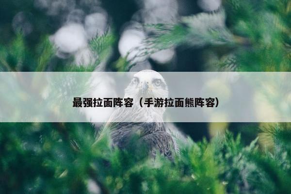 最强拉面阵容（手游拉面熊阵容）