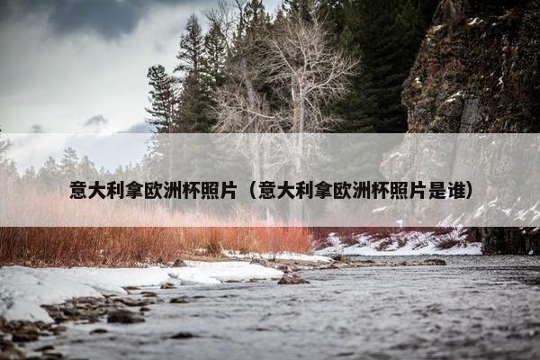 意大利拿欧洲杯照片（意大利拿欧洲杯照片是谁）