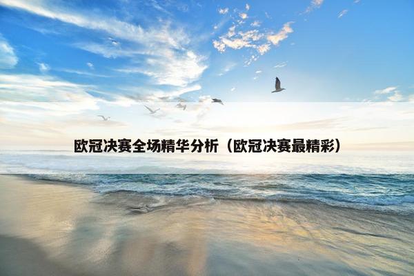 欧冠决赛全场精华分析（欧冠决赛最精彩）