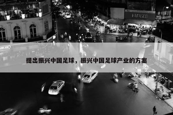 提出振兴中国足球，振兴中国足球产业的方案