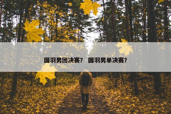 国羽男团决赛？ 国羽男单决赛？