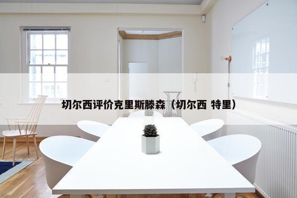 切尔西评价克里斯滕森（切尔西 特里）