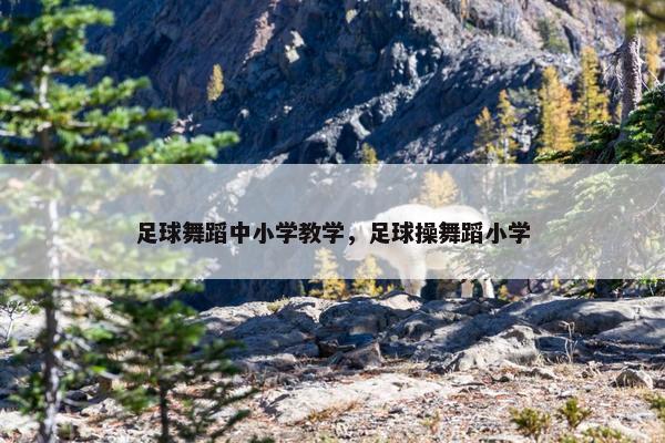 足球舞蹈中小学教学，足球操舞蹈小学