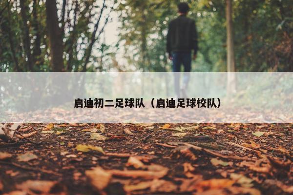 启迪初二足球队（启迪足球校队）