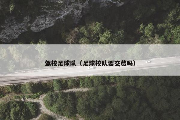 驾校足球队（足球校队要交费吗）