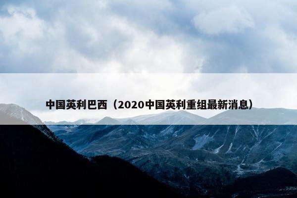 中国英利巴西（2020中国英利重组最新消息）
