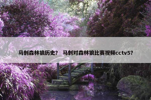 马刺森林狼历史？ 马刺对森林狼比赛视频cctv5？