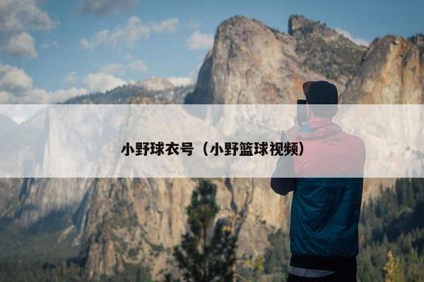 小野球衣号（小野篮球视频）