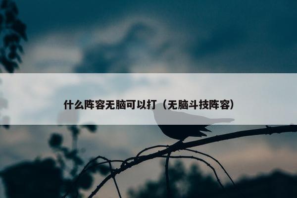 什么阵容无脑可以打（无脑斗技阵容）