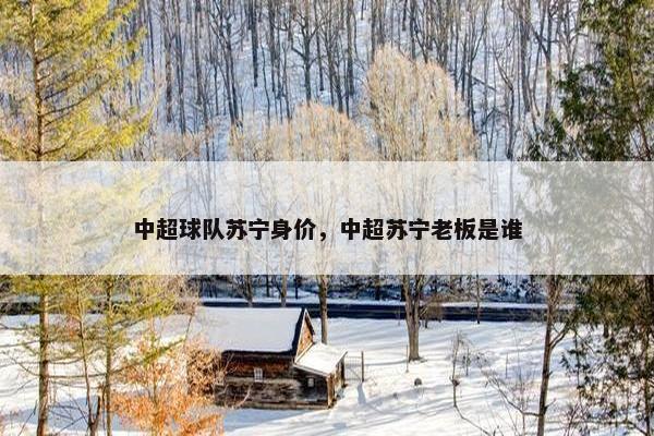 中超球队苏宁身价，中超苏宁老板是谁