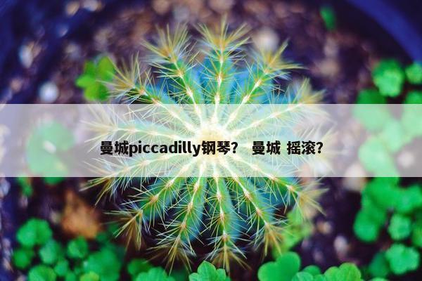 曼城piccadilly钢琴？ 曼城 摇滚？