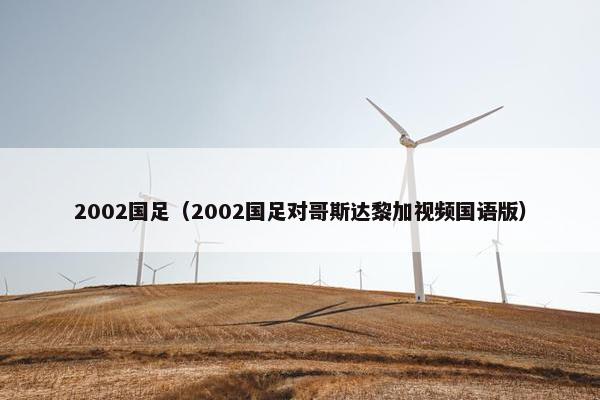 2002国足（2002国足对哥斯达黎加视频国语版）