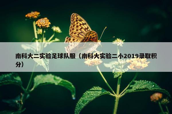南科大二实验足球队服（南科大实验二小2019录取积分）