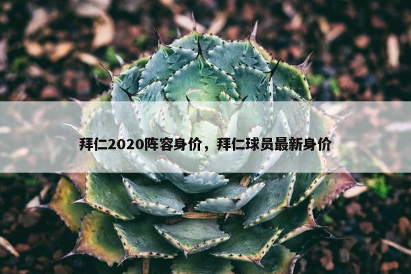 拜仁2020阵容身价，拜仁球员最新身价