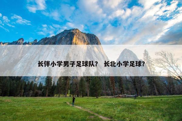 长伴小学男子足球队？ 长北小学足球？