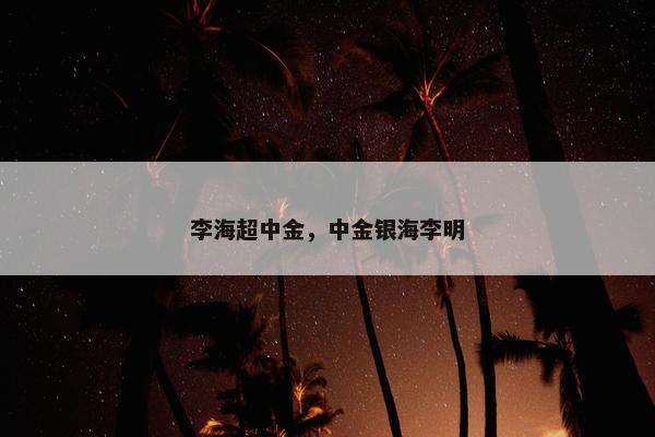 李海超中金，中金银海李明