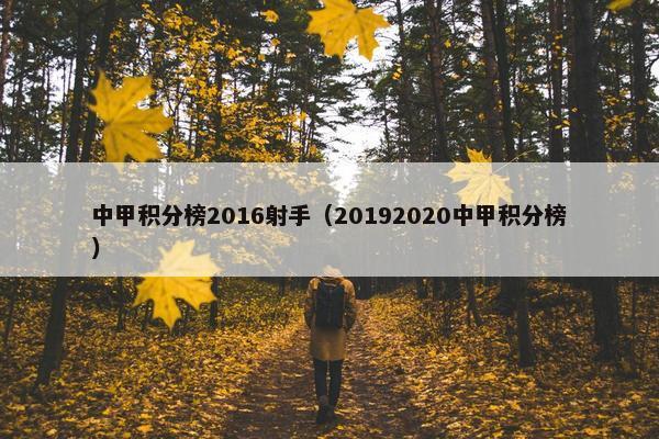 中甲积分榜2016射手（20192020中甲积分榜）
