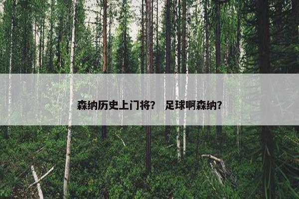 森纳历史上门将？ 足球啊森纳？