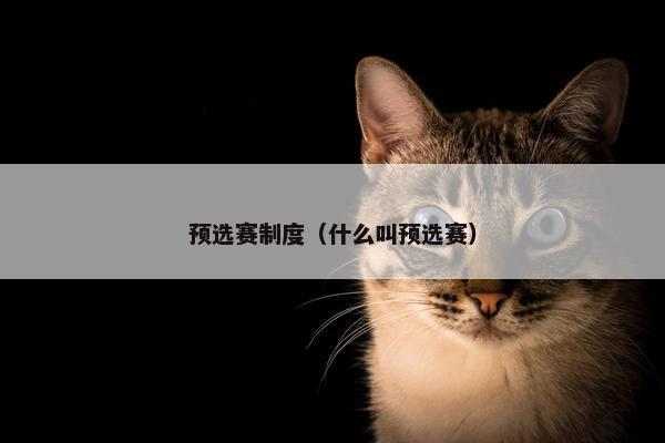预选赛制度（什么叫预选赛）