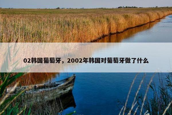 02韩国葡萄牙，2002年韩国对葡萄牙做了什么