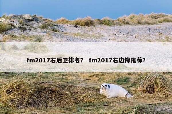 fm2017右后卫排名？ fm2017右边锋推荐？