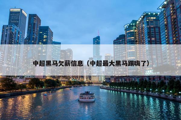 中超黑马欠薪信息（中超最大黑马踢嗨了）