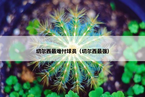切尔西最难付球员（切尔西最强）