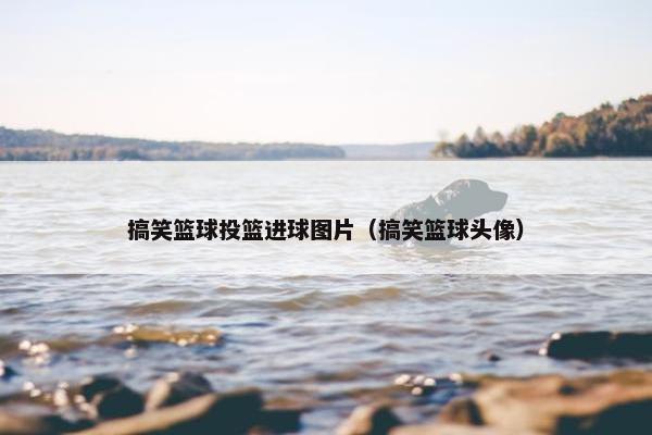 搞笑篮球投篮进球图片（搞笑篮球头像）