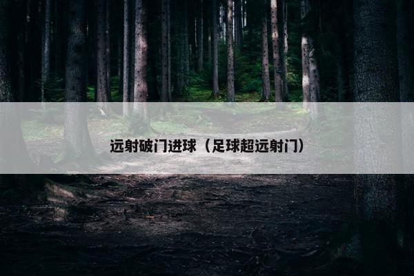 远射破门进球（足球超远射门）