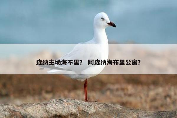 森纳主场海不里? 阿森纳海布里公寓? 森纳主场海不里? 阿森纳海布里公寓?