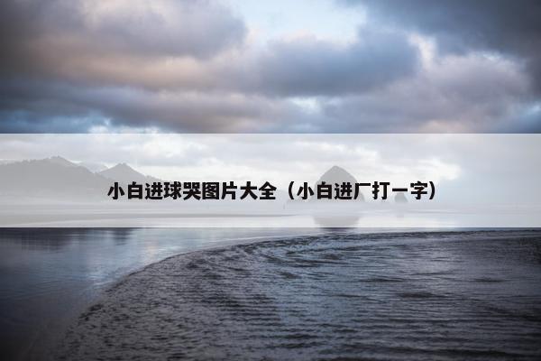 小白进球哭图片大全（小白进厂打一字）