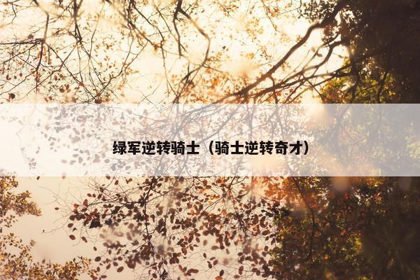 绿军逆转骑士（骑士逆转奇才）