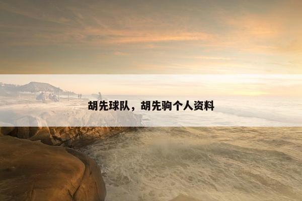 胡先球队，胡先驹个人资料