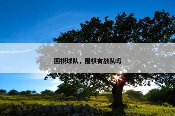 围棋球队，围棋有战队吗