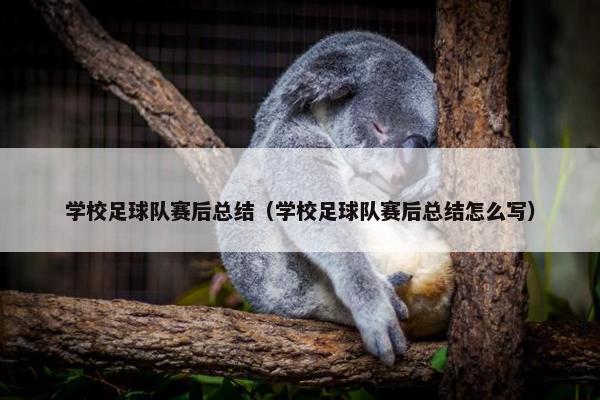 学校足球队赛后总结（学校足球队赛后总结怎么写）