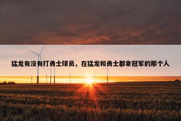 猛龙有没有打勇士球员，在猛龙和勇士都拿冠军的那个人