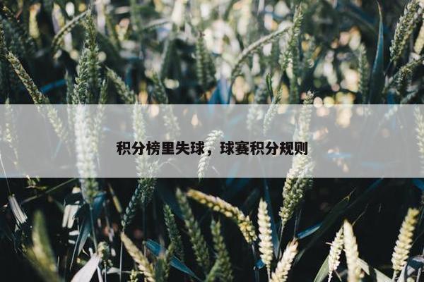 积分榜里失球，球赛积分规则