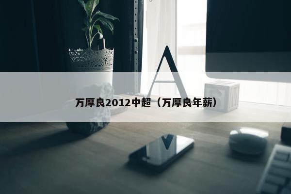 万厚良2012中超（万厚良年薪）